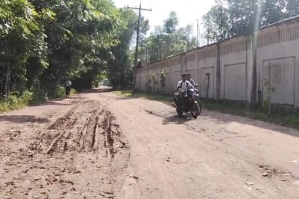 খুলনার ফুলতলায় ১৯ বছরেও সংস্কার হয়নি প্রধান সড়ক, দুর্ভোগে ভদ্র পুকুর গ্রামের মানুষ
